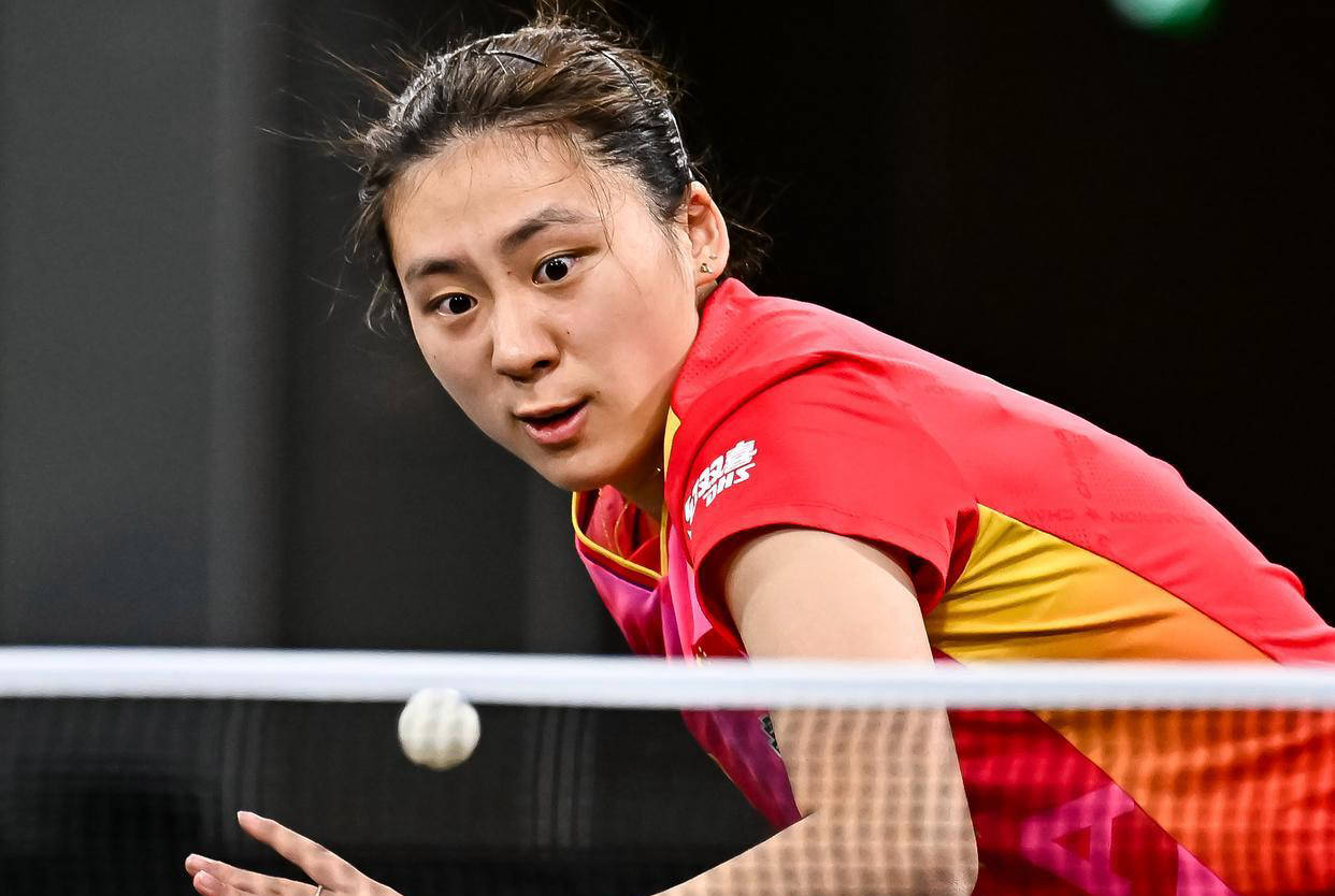 略提供了新 略提供了新